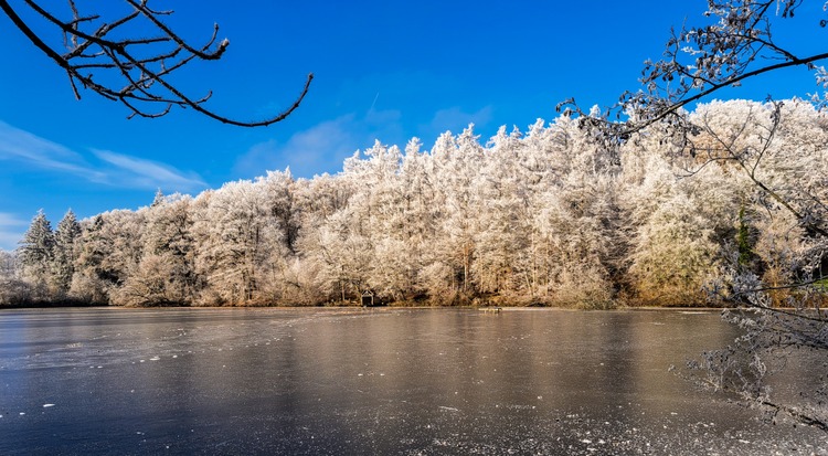 Etang de Fter
